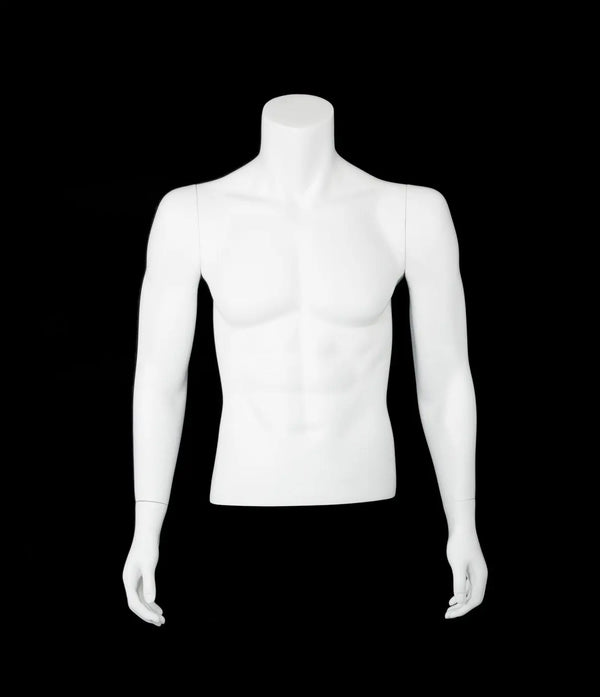 Male Torso Mannequins – Retail Display Torso Forms & Body Parts – New ...
